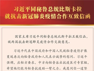 习近平同秘鲁总统比斯卡拉就抗击新冠肺炎疫情合作互致信函