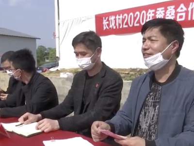 高塘乡长垅村：蚕桑养殖脱贫困  村民分红展笑颜