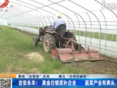 【聚焦“放管服”改革 曝光“怕慢假庸散”】吉安永丰：真金白银奖补企业 蔬菜产业有奔头