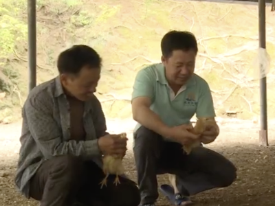 拔英大富村：党员先锋助脱贫