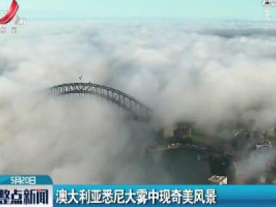 澳大利亚悉尼大雾中现奇美风景