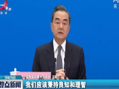 【关注全国两会】王毅：历史应该由事实和真相来书写