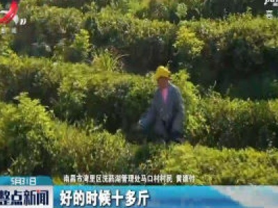 南昌：荒山变“金山” 因地制宜增收益