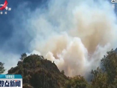 四川凉山州发生森林火灾 火场风向多变