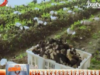 江西：14个标准化试点示范项目通过国家考核