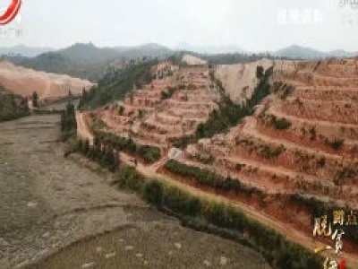社会传真20200507 崩岗成“绿岗”——脱贫一线蹲点记