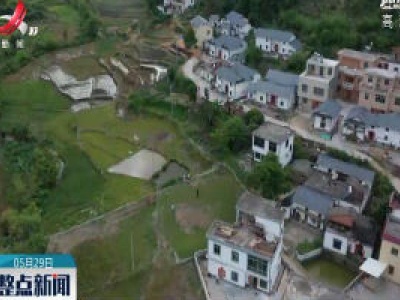 整点新闻20200529 16:00