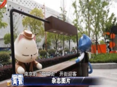 南京：“喵喵街” 开街迎客