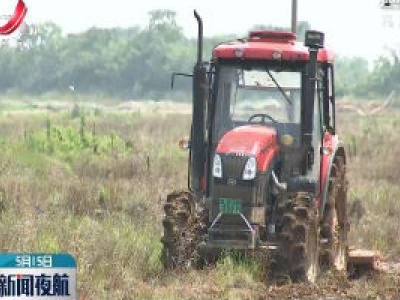 九江：夏种夏管农事忙 科技助力促丰产
