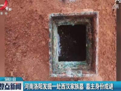 河南洛阳发掘一处西汉家族墓 墓主身份成谜