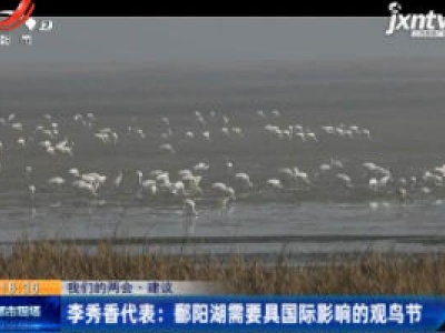 【我们的两会·建议】李秀香代表：鄱阳湖需要具国际影响的观鸟节