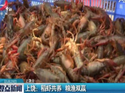 上饶：稻虾共养 粮渔双赢