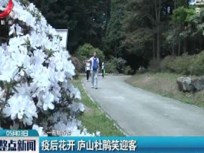【五一假期旅游】疫后花开 庐山杜鹃笑迎客