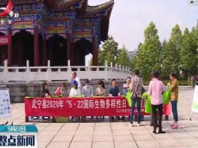 整点新闻20200522 16:00