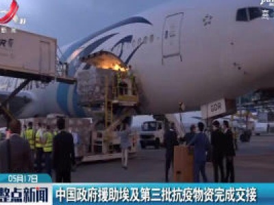 中国政府援助埃及第三批抗疫物资完成交接