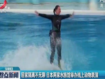居家隔离不无聊 日本两家水族馆举办线上动物表演