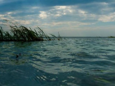 江西：预计五六月降水偏多 鄱阳湖等可能发生超警戒洪水