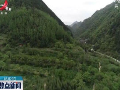 秦岭：智能管控为秦岭保护增加科技力量