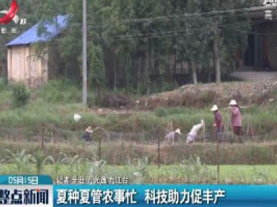 整点新闻20200515 16:00