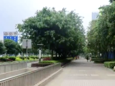 美丽江西在行动20200526 宜春市丰城市：回应群众意见 整修新建人行道板