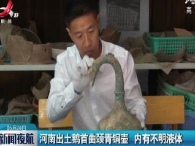 河南出土鹅首曲颈青铜壶 内有不明液体