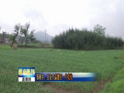 邹桥乡：百亩大蒜激活一片荒地