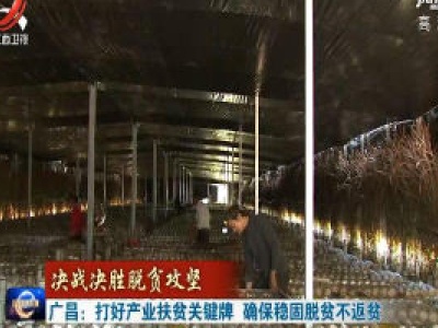 广昌：打好产业扶贫关键牌 确保稳固脱贫不返贫