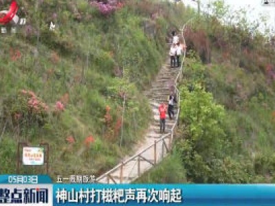 【五一假期旅游】神山村打糍粑声再次响起