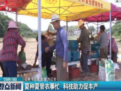 九江：夏种夏管农事忙 科技助力促丰产