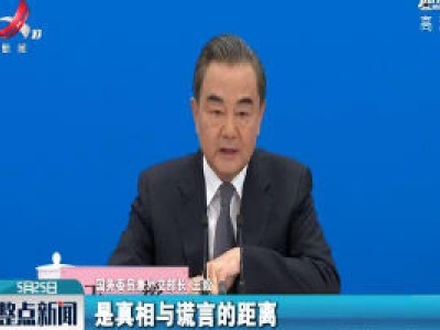 【关注全国两会】王毅：历史应该由事实和真相来书写