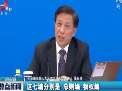 【关注全国两会】民法典草案共7编 累计征求意见建议超百万