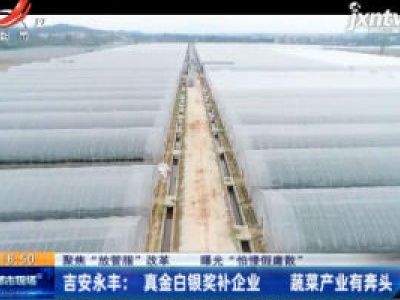 【聚焦“放管服”改革 曝光“怕慢假庸散”】吉安永丰：真金白银奖补企业 蔬菜产业有奔头