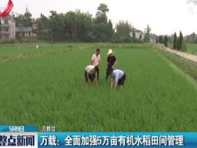万载：全面加强5万亩有机水稻田间管理