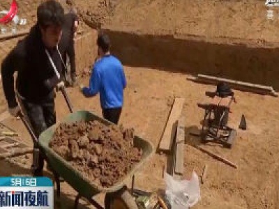 英国兄弟闲来无事 自家院子挖泳池