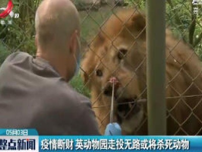 疫情断财 英动物园走投无路或将杀死动物