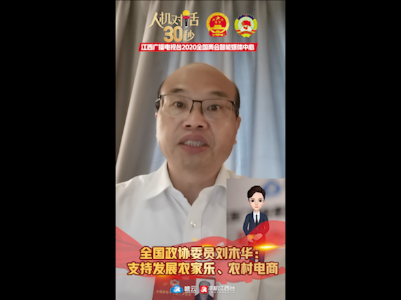 全国政协委员刘木华：支持发展农家乐、农村电商