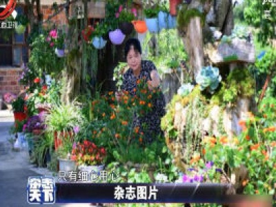 湖南：家庭主妇擅长废物利用 自家院子装扮温馨浪漫