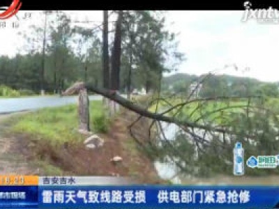 吉安吉水：雷雨天气致线路受损 供电部门紧急抢修