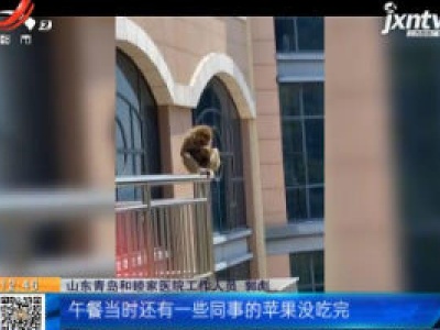 山东青岛：小猴“闯”医院 撒娇卖萌超可爱