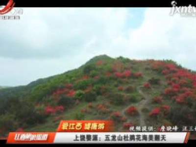 【爱江西 健康游】上饶婺源：五龙山杜鹃花海美翻天