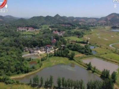 都昌达子嘴村：鹭鸟入村二十载 共谱和谐生态图