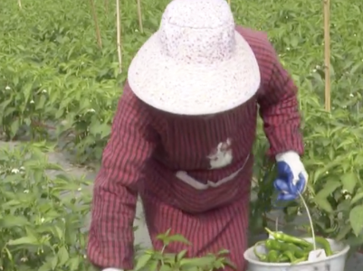 赣南革命老区实现整体脱贫摘帽