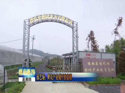 园艺场：鲜花产业铺开致富路