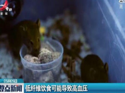 低纤维饮食可能导致高血压