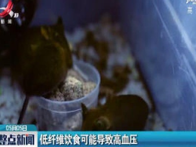 低纤维饮食可能导致高血压