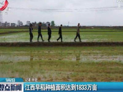 整点新闻20200502 14:00