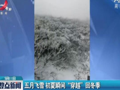 黑龙江：五月飞雪 初夏瞬间“穿越”回冬季