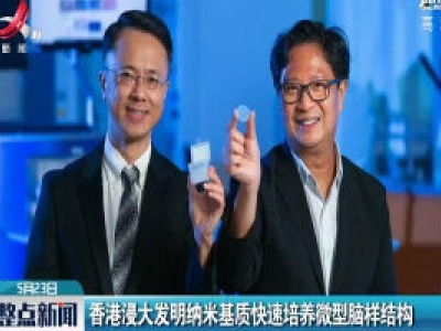 香港浸大发明纳米基质快速培养微型脑样结构