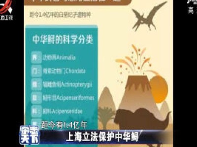 杂志天下20200519