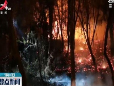 云南安宁发生森林火灾 当地紧急扑救